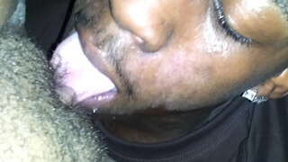 Muca potop in funt za amaterske