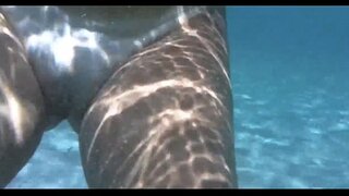 D секси пуш, вулы barra porto da, bahia salvador