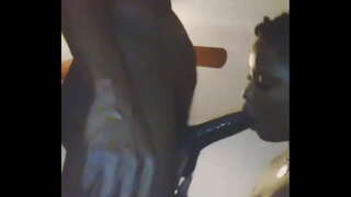 Nada como uma puta que gosta de chupar o pau