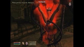 щупальце ҡараңғы.Ави